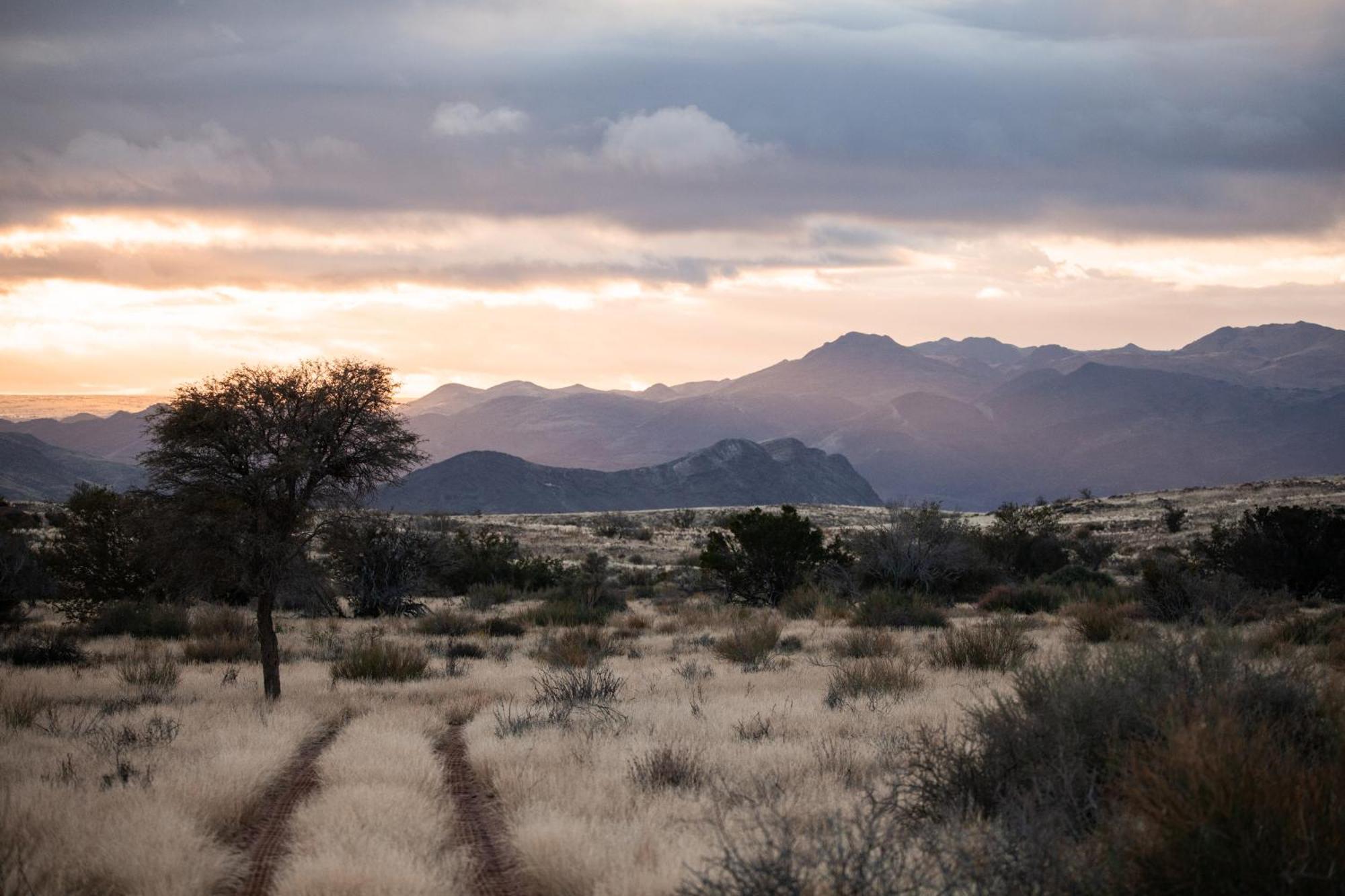 Sandfontein Lodge & Nature Reserve Buitenkant foto