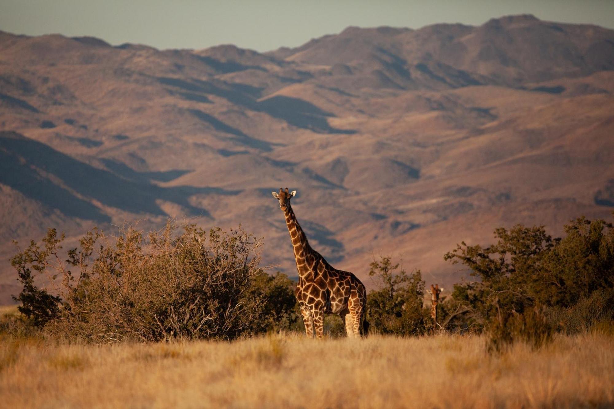 Sandfontein Lodge & Nature Reserve Buitenkant foto