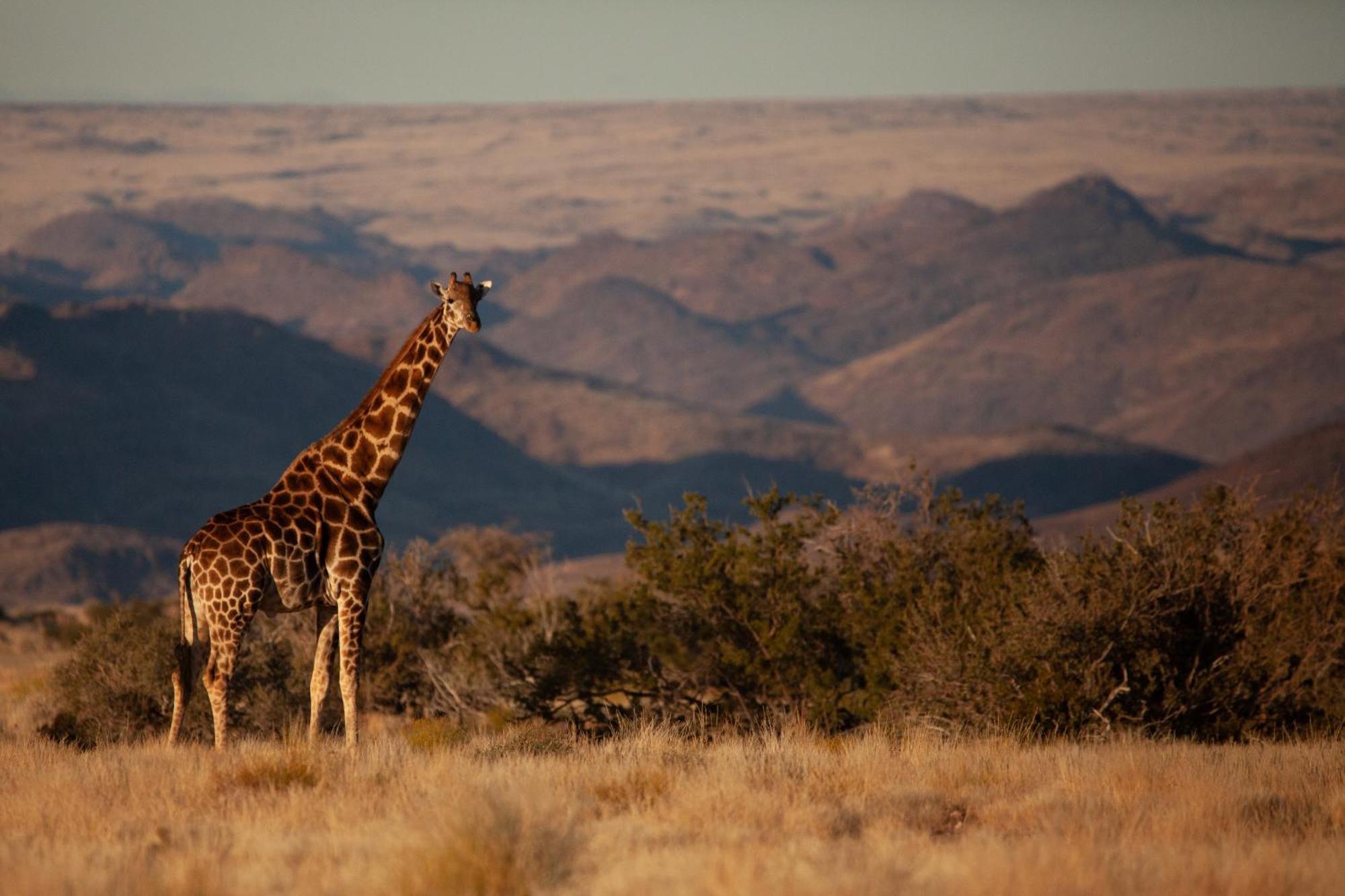Sandfontein Lodge & Nature Reserve Buitenkant foto