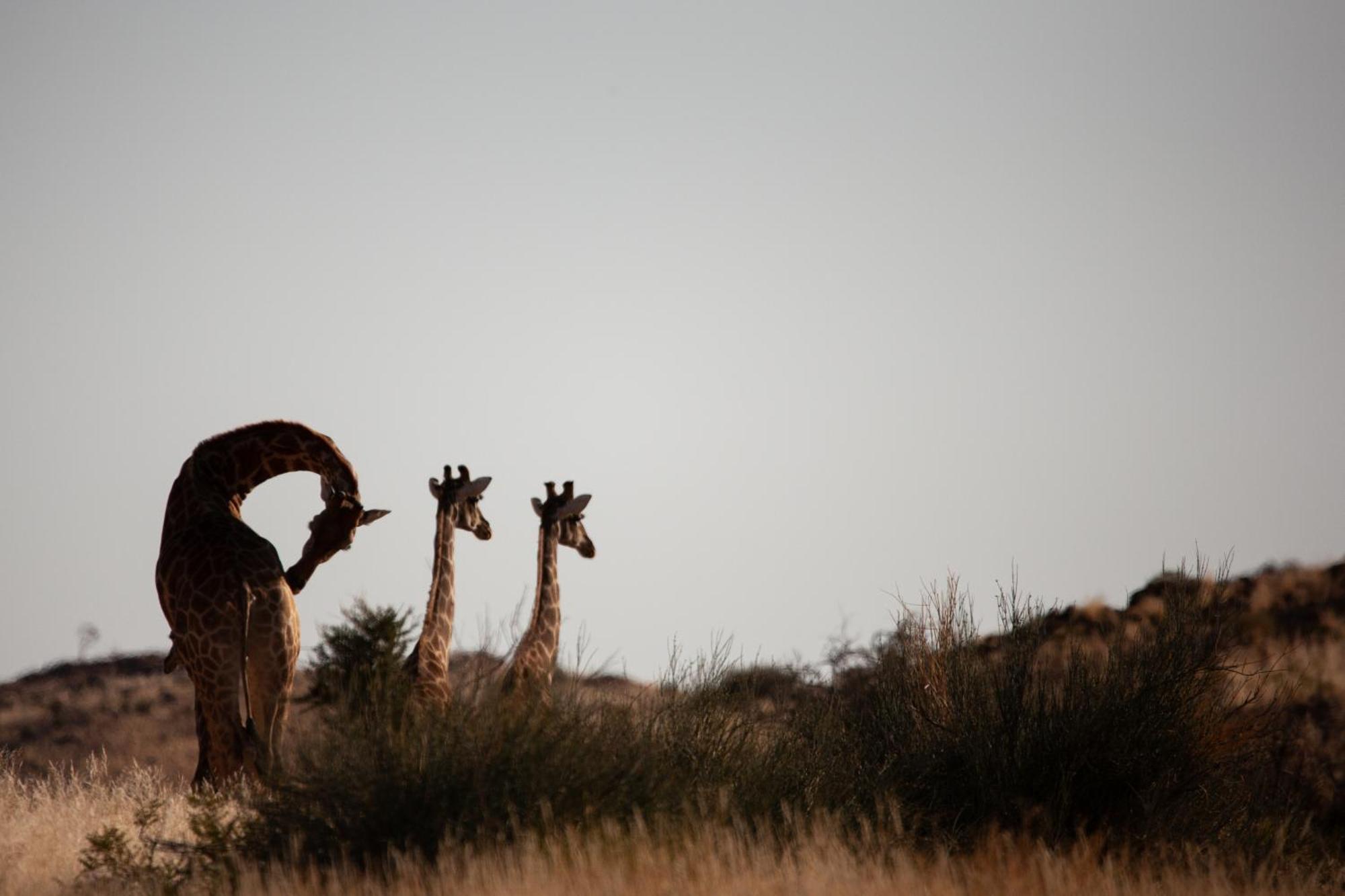 Sandfontein Lodge & Nature Reserve Buitenkant foto
