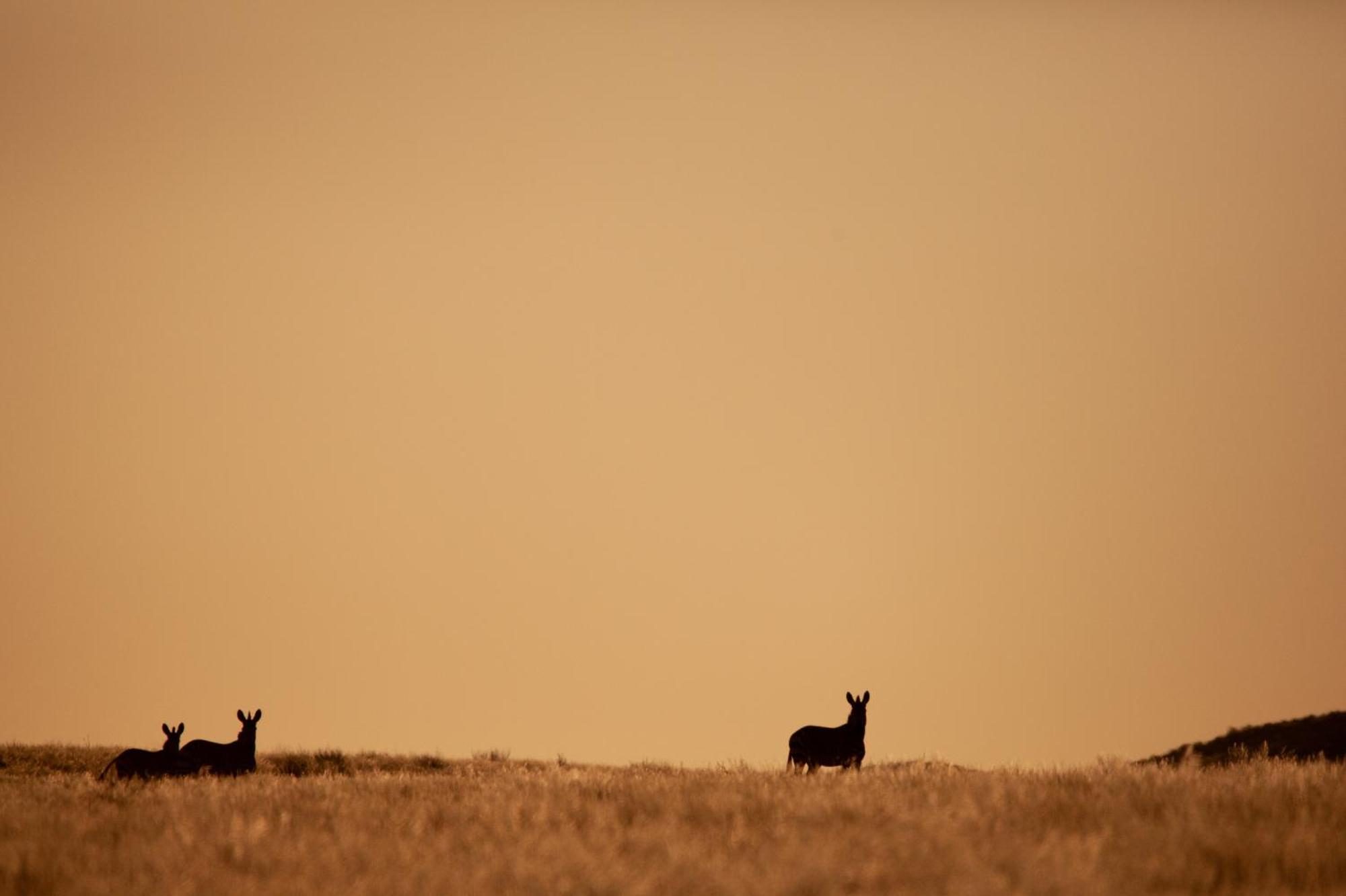 Sandfontein Lodge & Nature Reserve Buitenkant foto