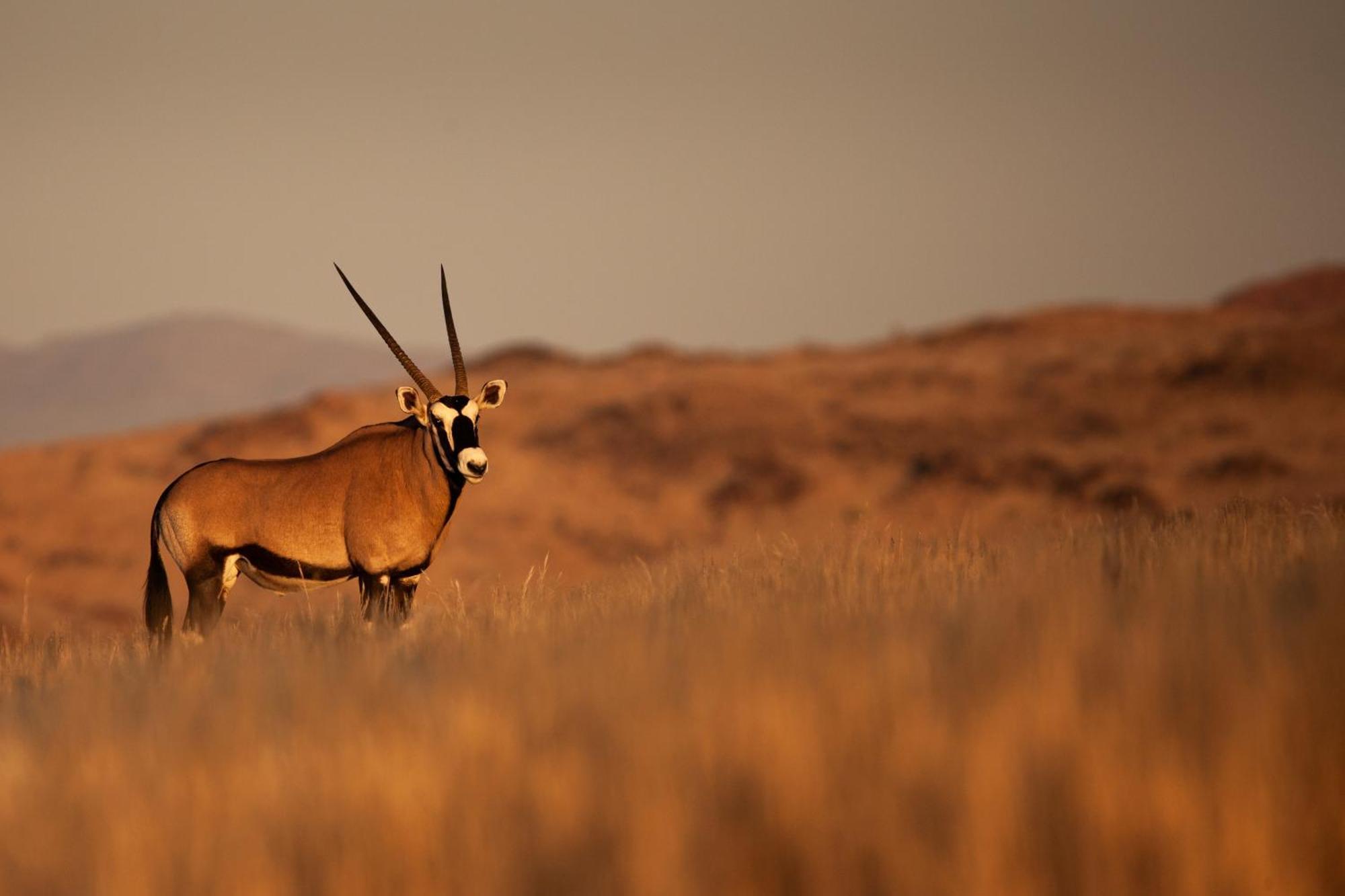Sandfontein Lodge & Nature Reserve Buitenkant foto